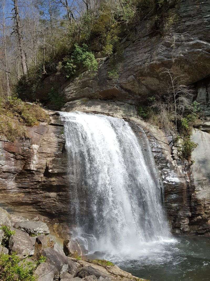 Looking Glass Falls Roadside Frost