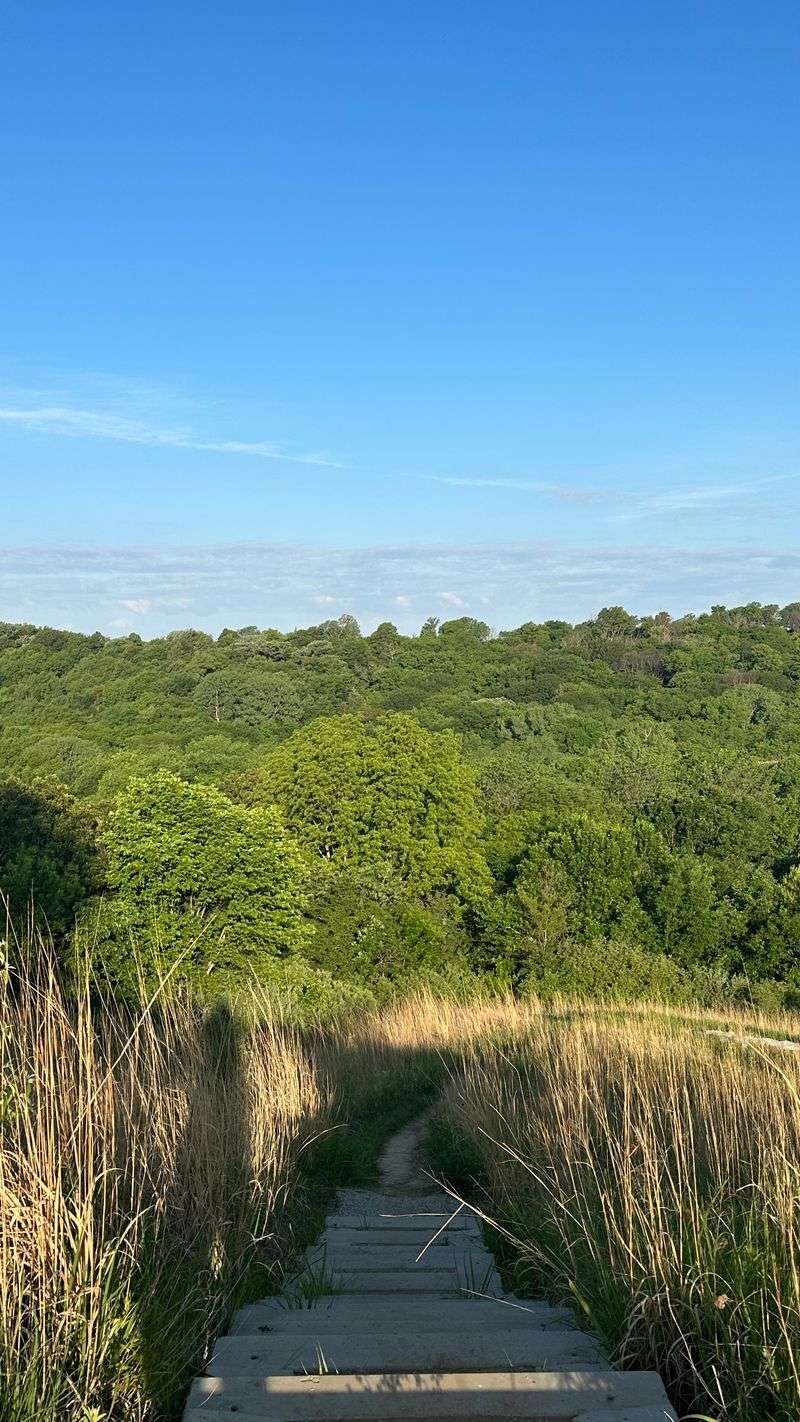 Hamburg and Waubonsie State Park