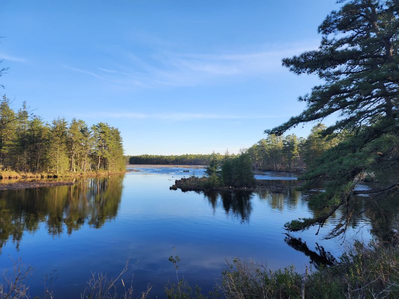 Wharton State Forest