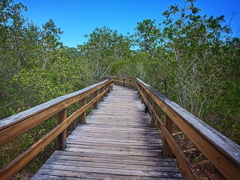 Hammock Park Nature Trails Offer Urban Wildlife Sanctuary