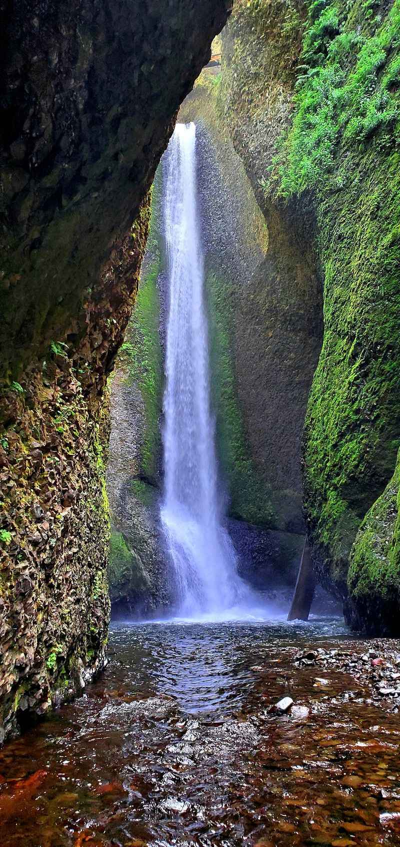 Oneonta Gorge Trail - Columbia River Gorge