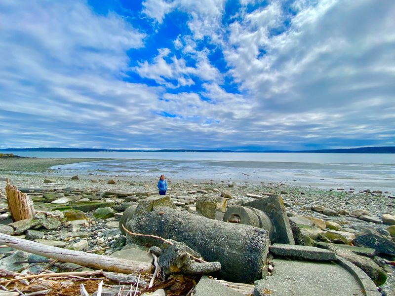 Festivals, Still Calm