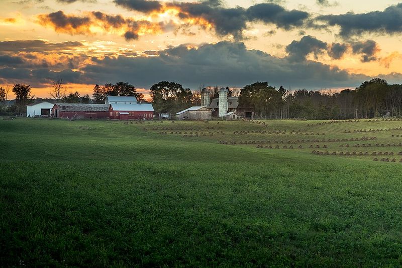 Household Roles Rooted in Longstanding Tradition