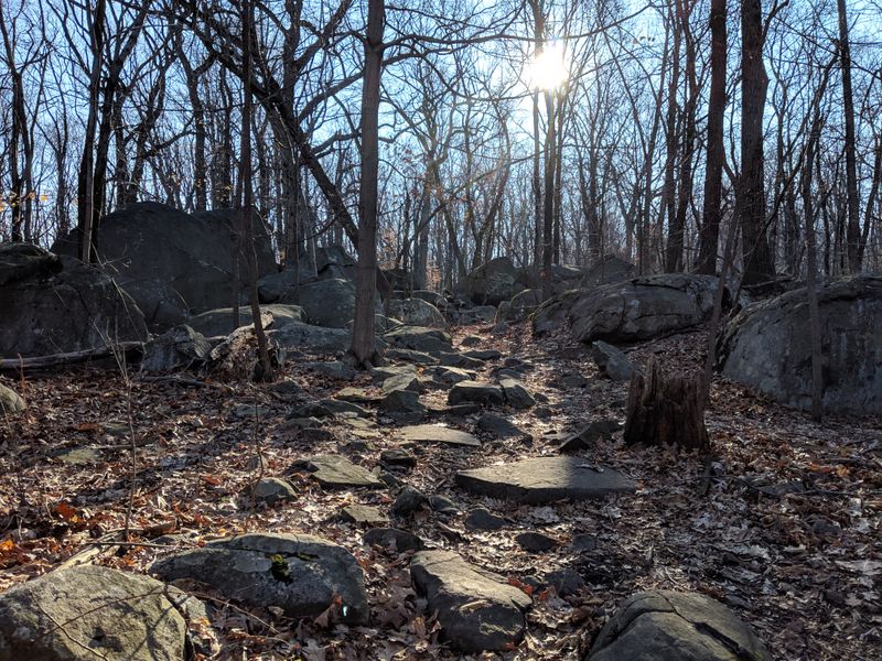 Sourland Mountain Preserve
