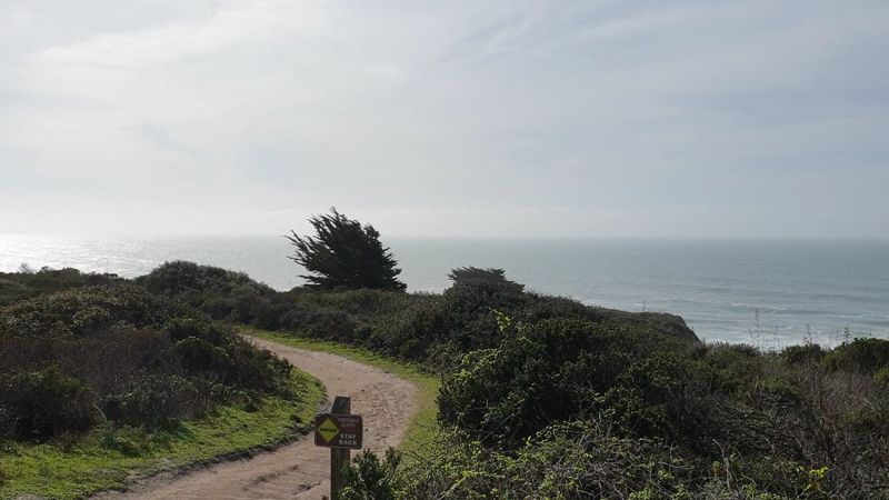 Pillar Point Bluff, Half Moon Bay Area