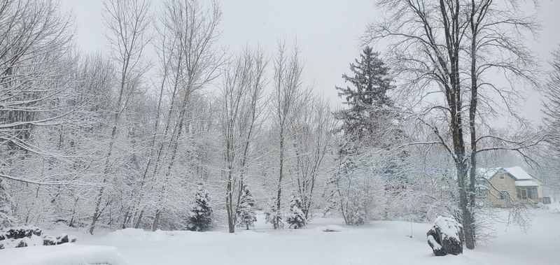 Skaneateles Village Tips