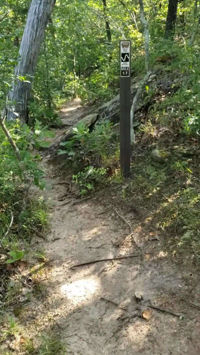 Hike Ancient Forest On A Shoestring At Keystone Ancient Forest