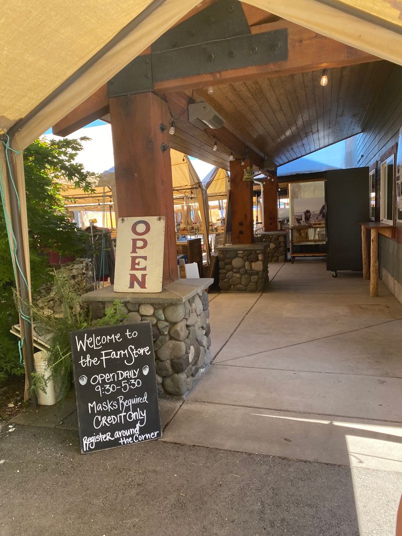 Sustainability In Practice