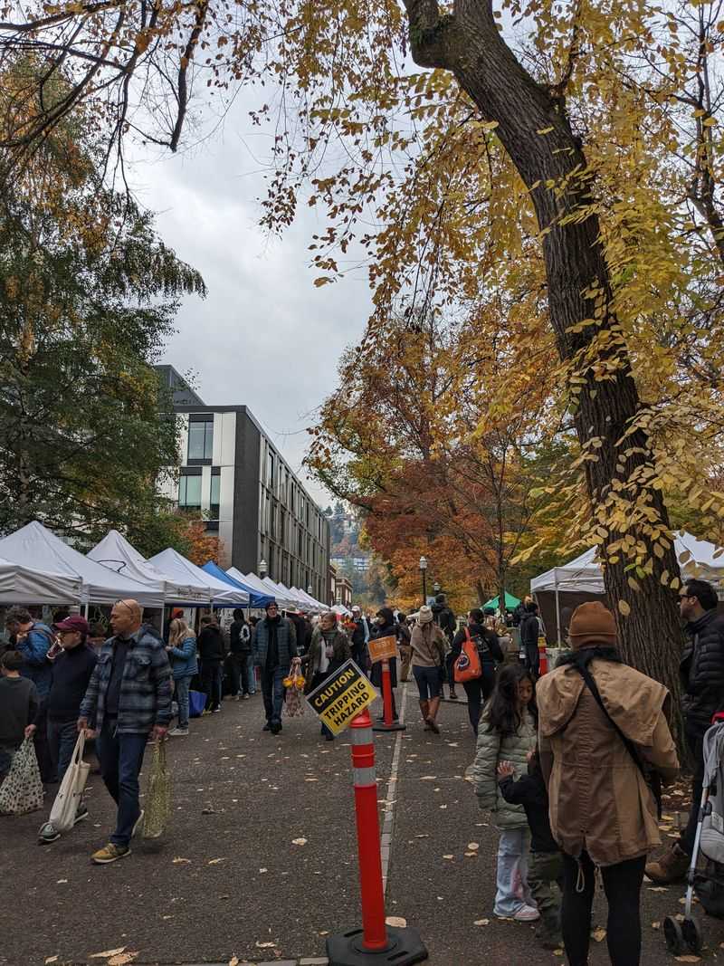 Seasonal Overcrowding Despite Winter Weather