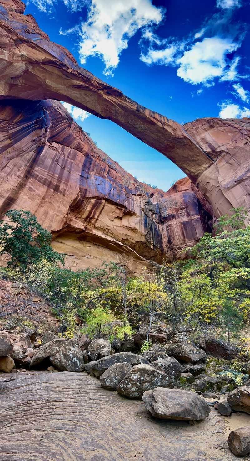 Calf Creek From The Escalante Side Morning Calm And Water