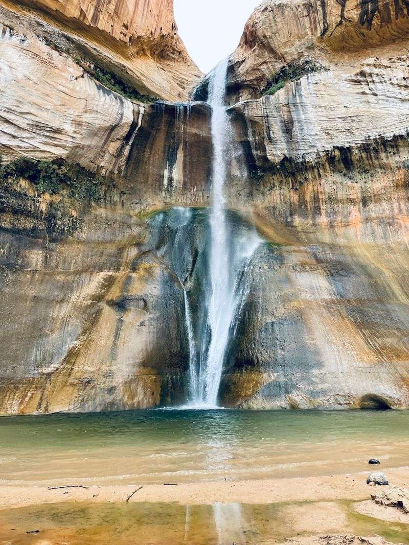Escalante Petrified Forest State Park Hills Of Ancient Wood