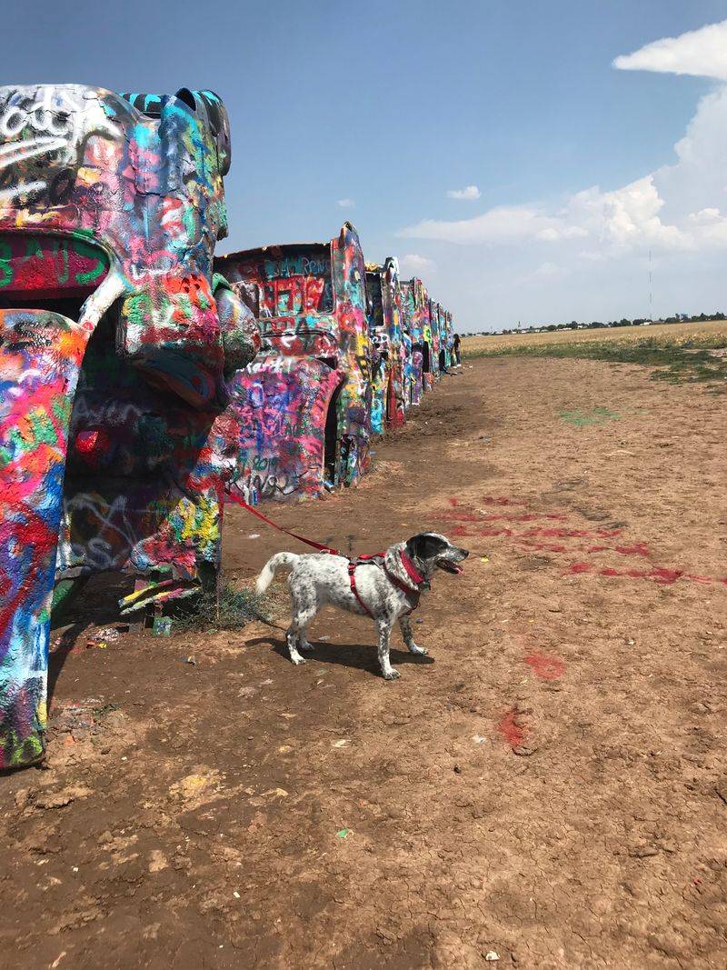 Nearby essentials, directions, and simple logistics