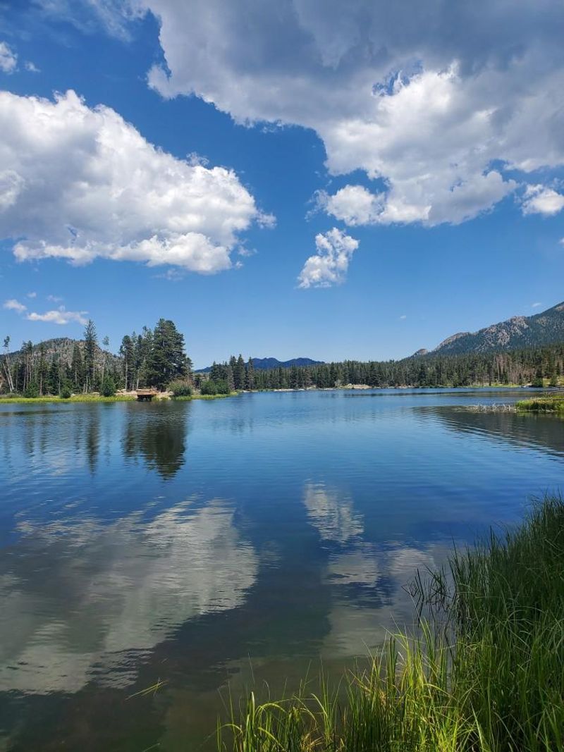 Disrupting Local Events