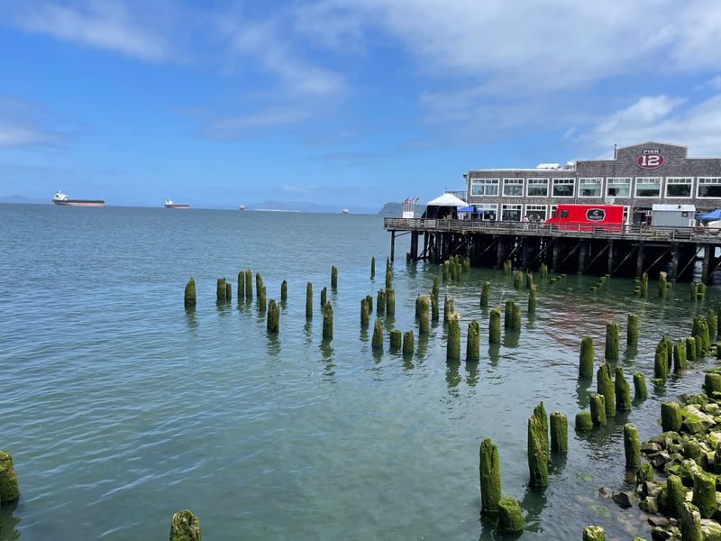 Discover the Peter Iredale Shipwreck