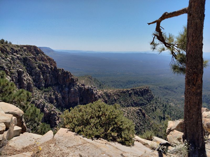 Cool Mornings On The Mogollon Rim