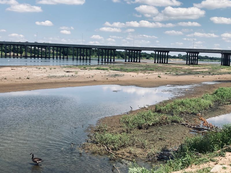 Wildlife Encounters Cause Concern