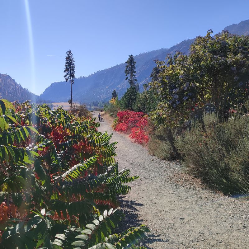 Trails Through Sage and Pine