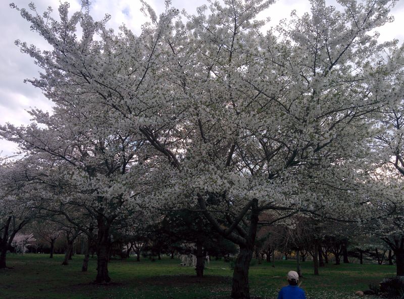 Historic Villages Frozen in Charming Time Capsules