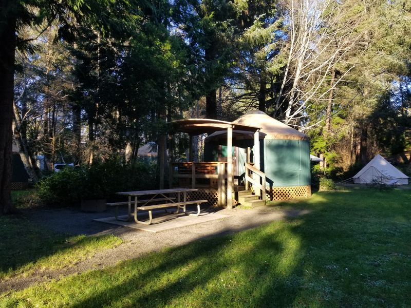 Wildlife Watching Throughout the Seasons