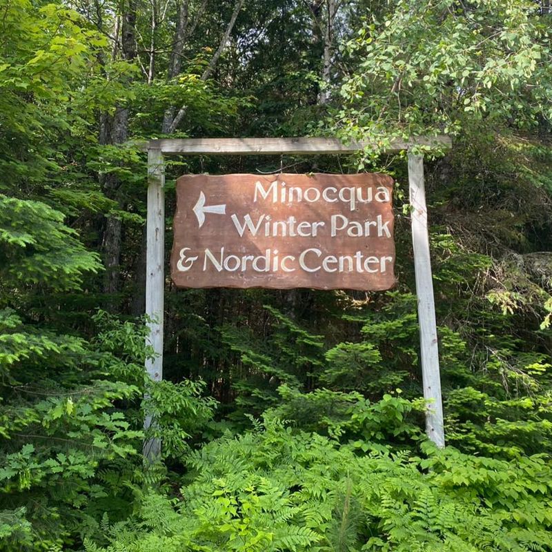 Skijoring for Dogs and Their Humans