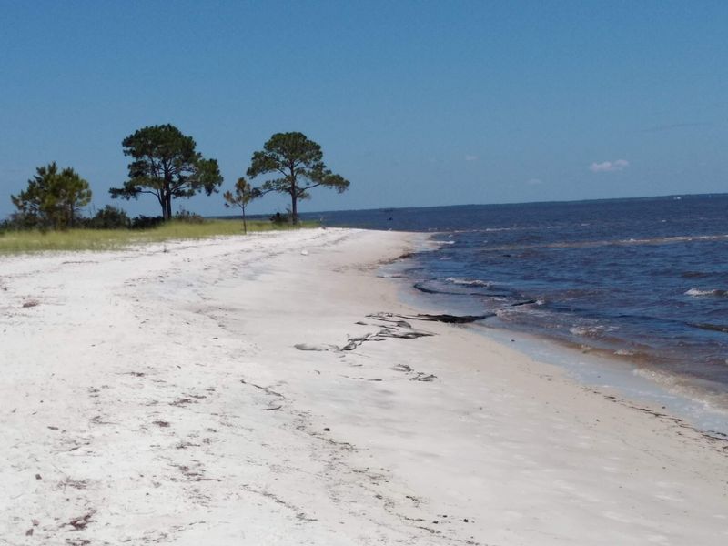 Beaches Become Overcrowded and Trashed