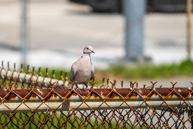 You Might Not Realize It Is Illegal