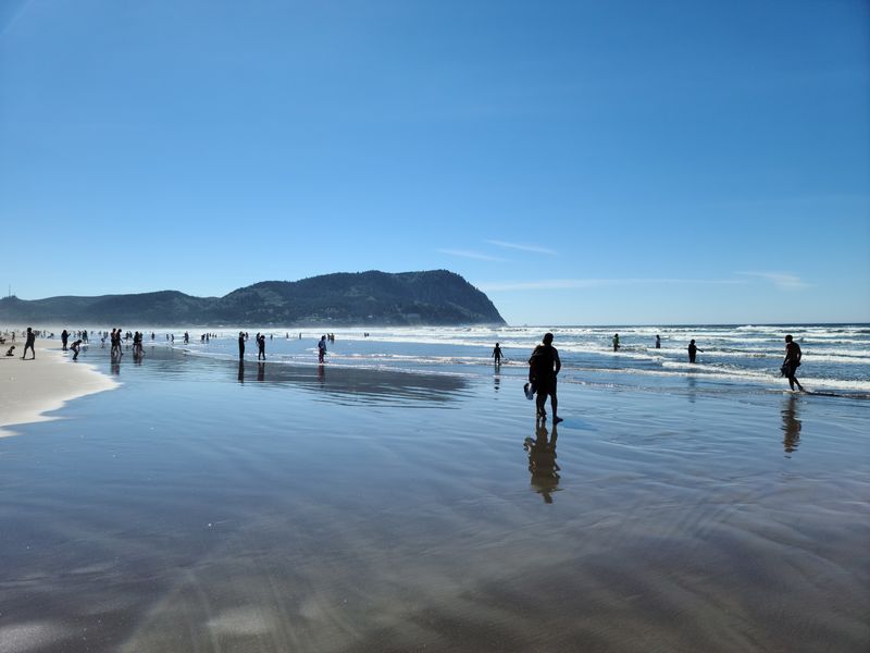 Collecting Live Shells Is Prohibited On Many Beaches And Sandbars