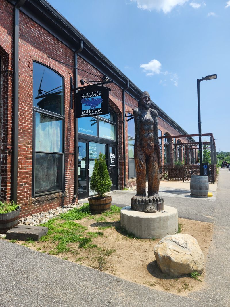 Cabinets of curiosities, old and new