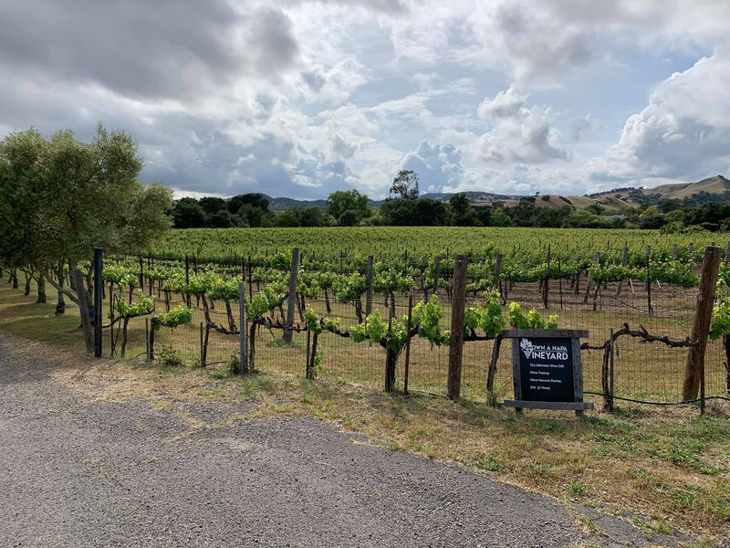 Napa Valley Vineyards and Towns