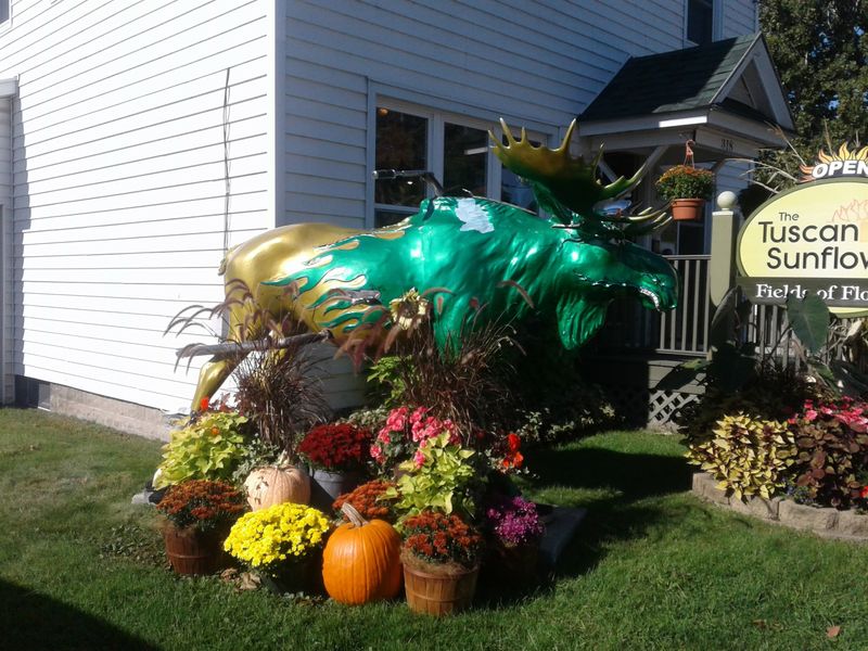 Service With Pace And Heart