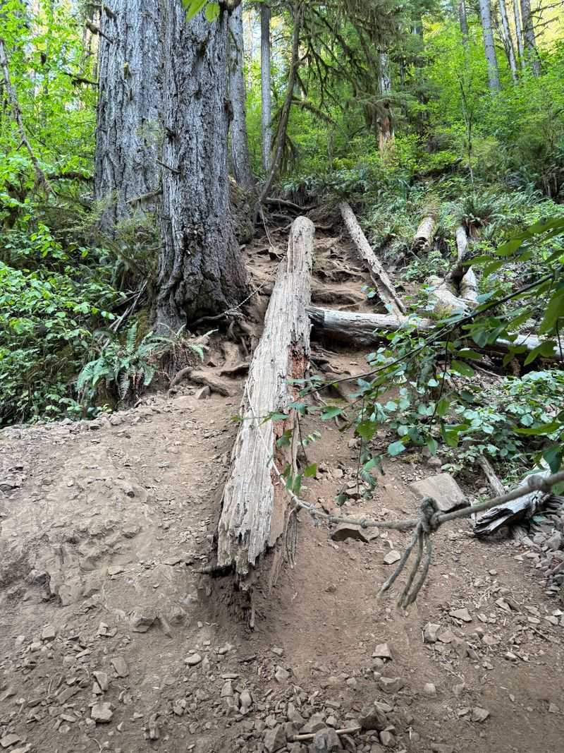 Navigating the descent safely