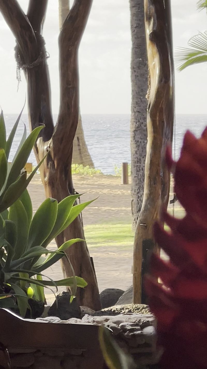 A sense of place that stays with you