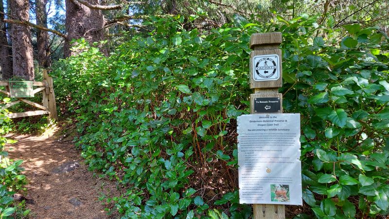 Gerdemann Garden - Coastal Botanical Wonder