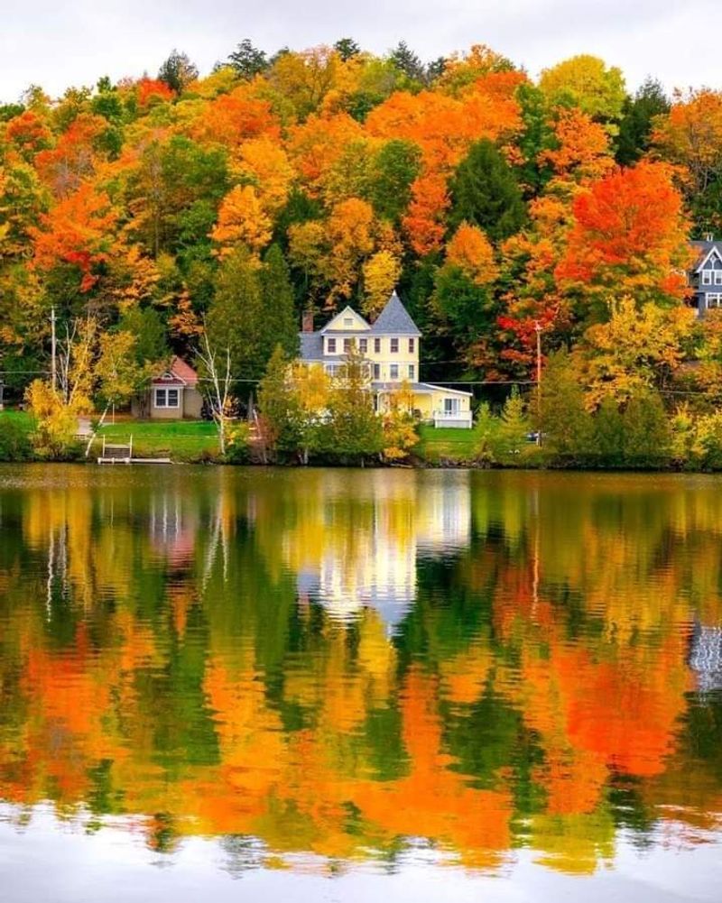 A Cottage Industry of Care