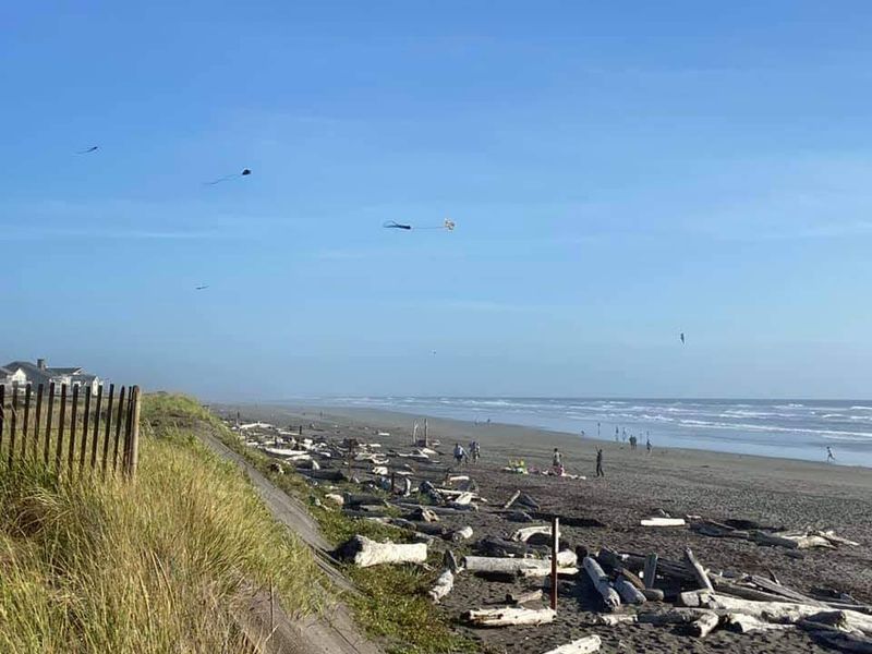 Razor Clam Seasons That Signal the Start of Peak Bowls