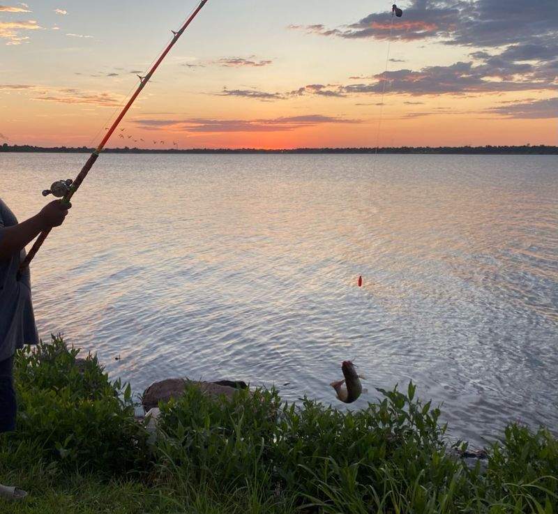Fishing Licenses and Regulations Matter