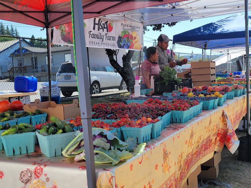 Toledo Waterfront Market