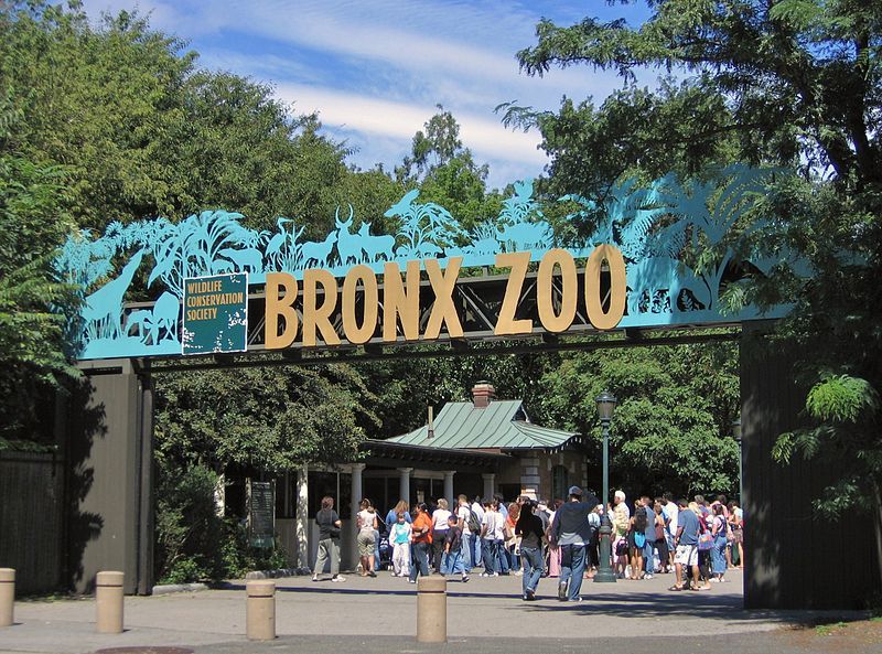 The Bronx Zoo