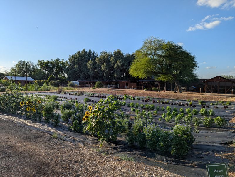 Farm-to-table ingredients