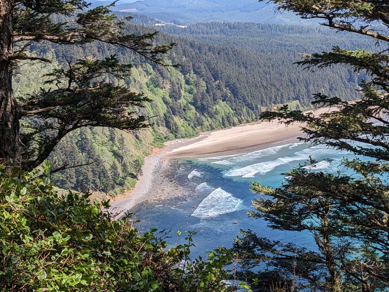 Cape Lookout State Park Shore Pine Groves