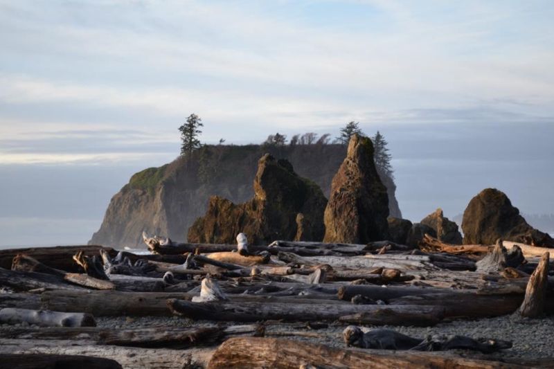 Rialto Beach and Mora Mood