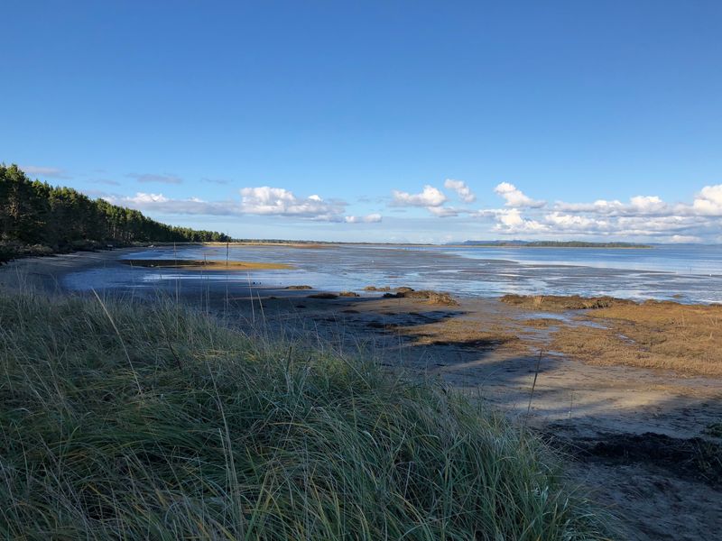Leadbetter Point State Park
