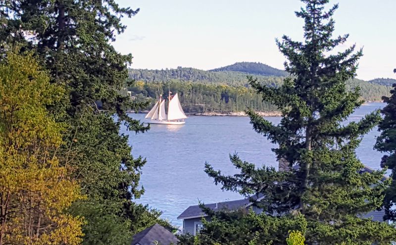 Harbor stroll from Town Dock to Witherle outlooks