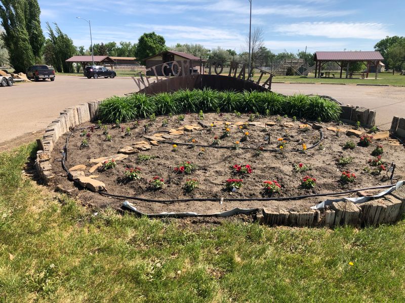 Malta Prairie Wildflower Expanse