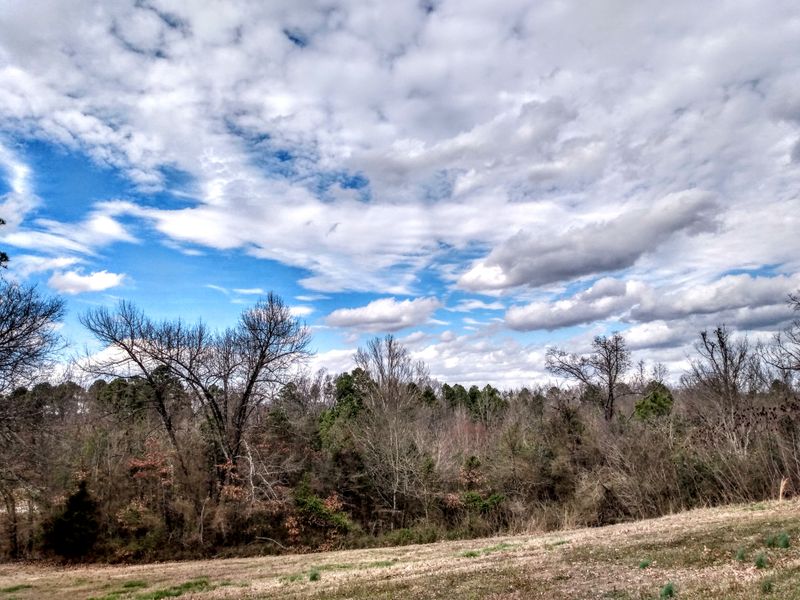 Prioritizing the Outdoors at Danville City Lake Overlook