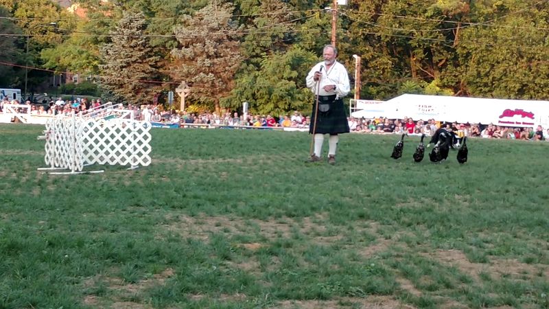 Scottish Heritage Festival Celebrates Unique Cultural Identity