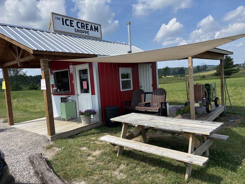 Bringing It All Together