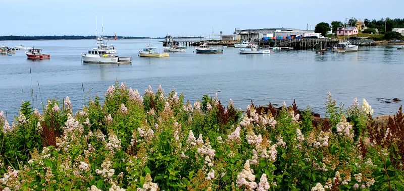 Prospect Harbor