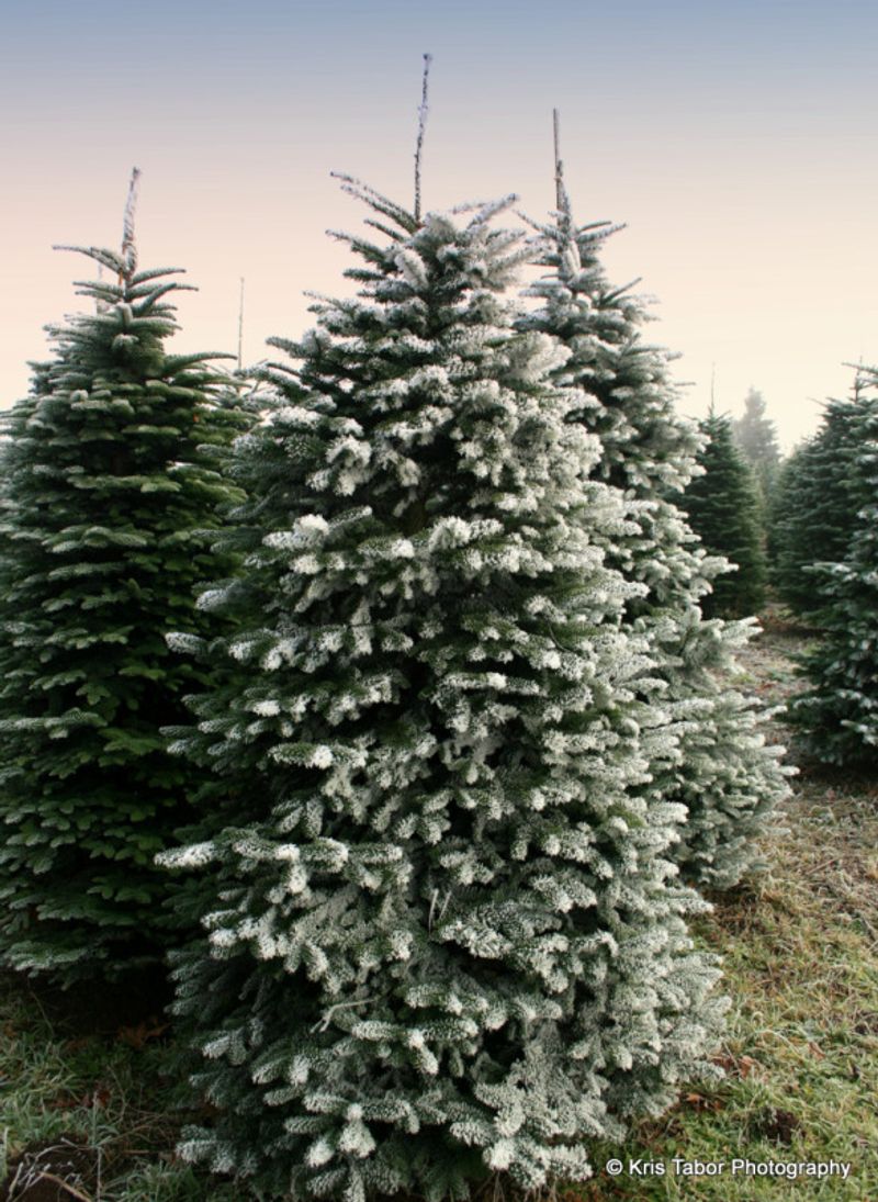 Historic Kirchem Farm