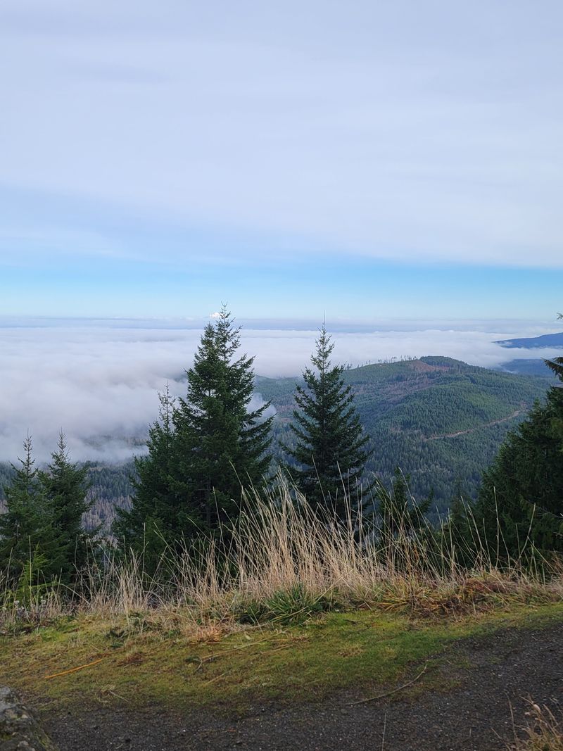Overlooks That Preserve a Vintage Mountain View